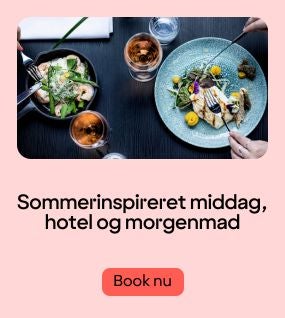 Middag og overnatning