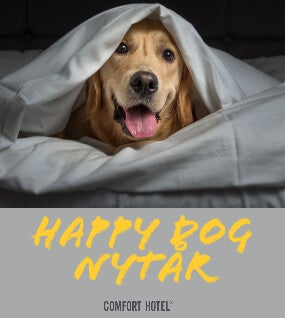 Happy Dog